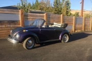 1979 Volkswagen Beetle for sale