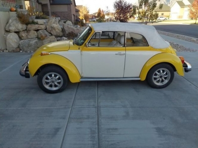 1979 Volkswagen Beetle for sale