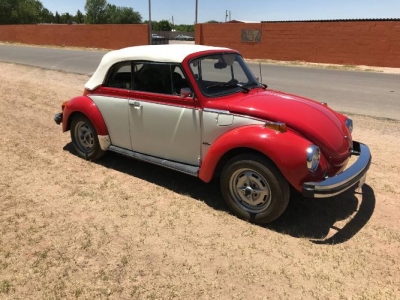 1979 Volkswagen Beetle for sale
