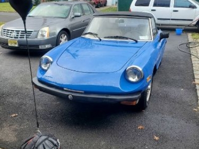1979 Alfa Romeo Spider for sale