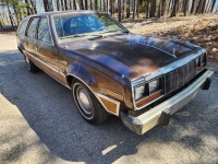 1979 AMC Concord for sale in Michigan (ID-115512)