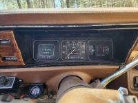 1979 AMC Concord for sale in Michigan (ID-115512)