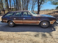 1979 AMC Concord for sale in Michigan (ID-115512)
