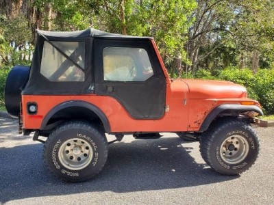 1979 AMC Jeep for sale