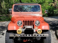 1979 AMC Jeep for sale in Michigan (ID-124831)