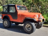 1979 AMC Jeep for sale in Michigan (ID-124831)