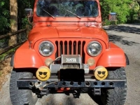 1979 AMC Jeep for sale in Michigan (ID-124831)