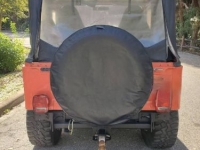 1979 AMC Jeep for sale in Michigan (ID-124831)