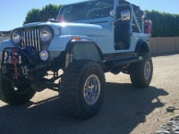 1979 AMC Jeep for sale in Michigan (ID-145810)