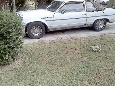 1979 Buick Limited for sale