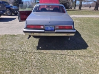 1979 Buick Regal for sale in Michigan (ID-98210)