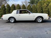 1979 Buick Regal for sale in Michigan (ID-131608)