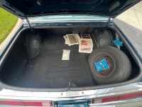 1979 Buick Regal for sale in Michigan (ID-138794)