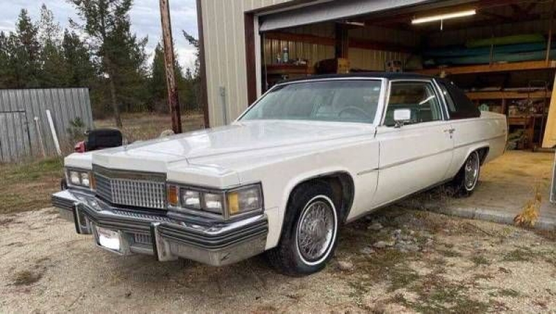 1979 Cadillac Coupe DeVille for sale in Michigan (ID-95146)