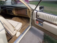 1979 Cadillac Coupe DeVille for sale in Michigan (ID-123408)