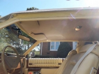 1979 Cadillac Coupe DeVille for sale in Michigan (ID-123408)