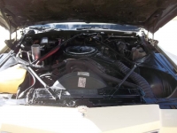 1979 Cadillac Coupe DeVille for sale in Michigan (ID-123408)