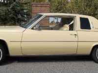 1979 Cadillac Coupe DeVille for sale in Michigan (ID-123408)