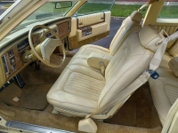 1979 Cadillac DeVille for sale in Riverhead, New York (ID-121263)