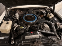 1979 Cadillac Eldorado for sale in Addison, Illinois (ID-118042)