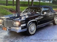1979 Cadillac Eldorado for sale in Riverhead, New York (ID-137939)