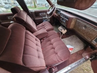 1979 Cadillac Fleetwood for sale in Michigan (ID-141562)