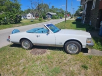 1979 Cadillac Seville for sale in Michigan (ID-142901)