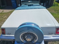 1979 Cadillac Seville for sale in Michigan (ID-142901)