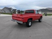 1979 Chevrolet 1500 for sale in Michigan (ID-120367)