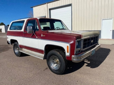 1979 Chevrolet Blazer for sale