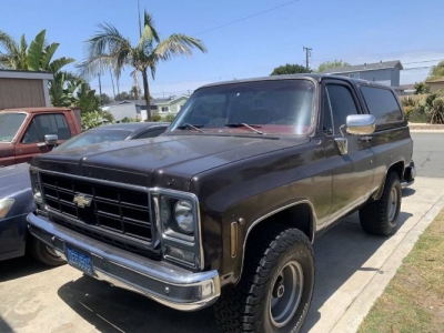 1979 Chevrolet Blazer for sale
