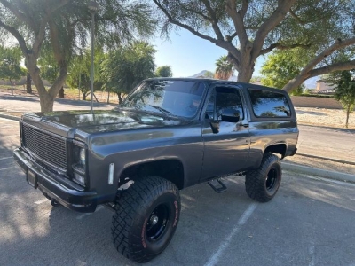 1979 Chevrolet Blazer for sale