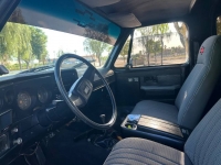 1979 Chevrolet Blazer for sale in Michigan (ID-124690)