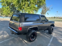 1979 Chevrolet Blazer for sale in Michigan (ID-124690)