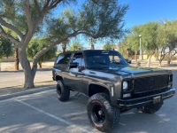 1979 Chevrolet Blazer for sale in Michigan (ID-124690)