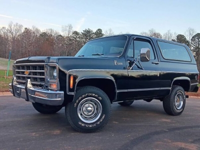 1979 Chevrolet Blazer for sale
