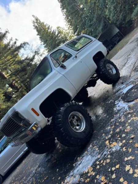 1979 Chevrolet Blazer for sale in Michigan (ID-140810)