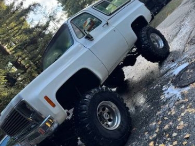 1979 Chevrolet Blazer for sale
