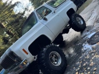 1979 Chevrolet Blazer for sale in Michigan (ID-140810)