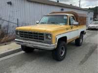1979 Chevrolet Blazer for sale in Michigan (ID-141296)