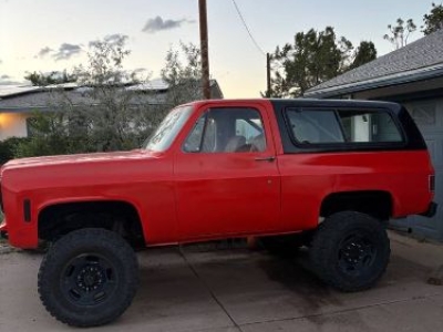 1979 Chevrolet Blazer for sale