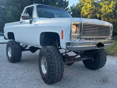1979 Chevrolet Blazer for sale