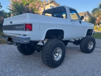 1979 Chevrolet Blazer for sale in Michigan (ID-146199)