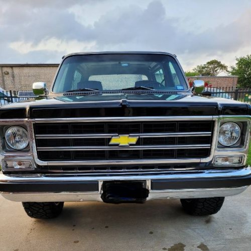 1979 Chevrolet Blazer for sale in Michigan (ID-155586)