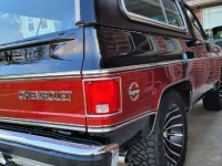 1979 Chevrolet Blazer for sale in Michigan (ID-155586)