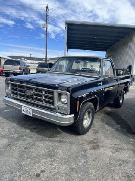 1979 Chevrolet C-series for sale in Michigan (ID-142475)