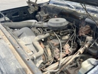 1979 Chevrolet C-series for sale in Michigan (ID-142475)