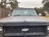 1979 Chevrolet C10 for sale in Michigan (ID-96378)