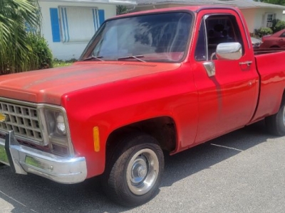 1979 Chevrolet C10 for sale