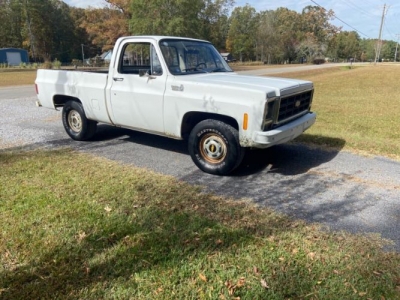 1979 Chevrolet C10 for sale